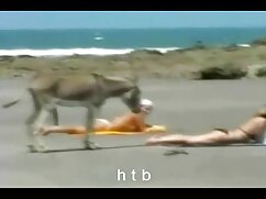 Un homme film adultes x choisit une salope en bas résille et la baise dans le trou du cul